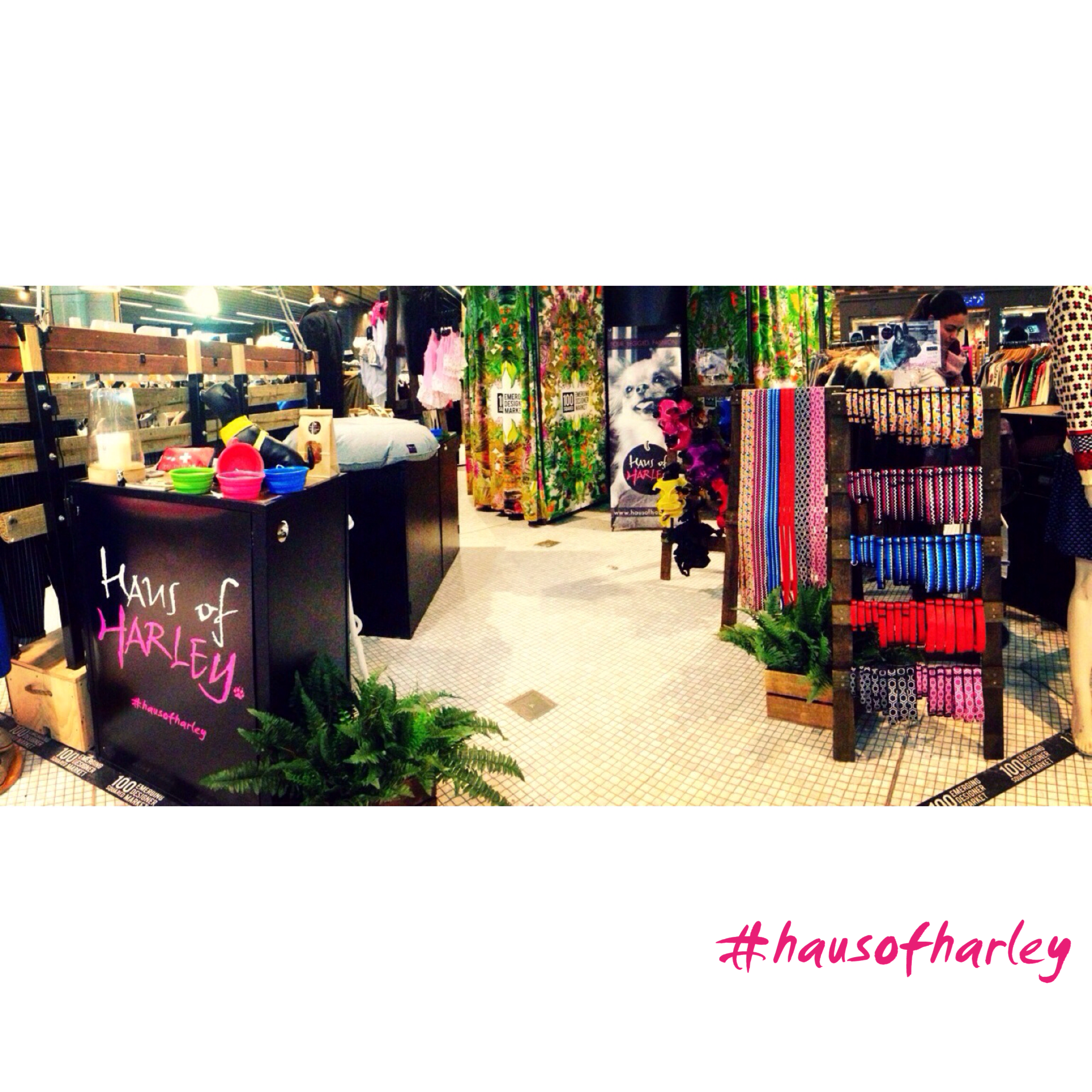 Haus of Harley Dogwear Pop-up Shop Westfield Sydney June 2015