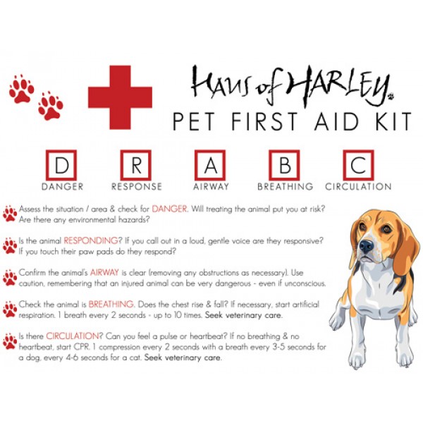 Barking Basics Pet First Aid Kit